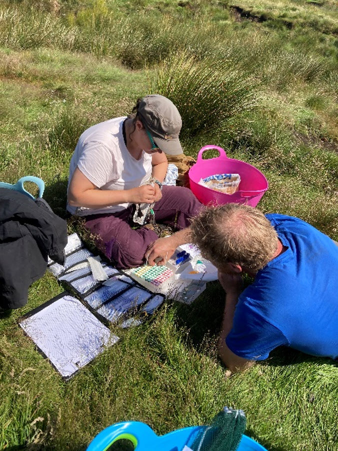 Bowland 2026 sampling